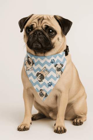 PawTaaka Zigzag Pug Print Bandana – Cool Blue Edition