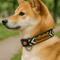 Shiba Inu wearing PawTaaka black dog collar with chevron print, showcasing fit and comfort for medium to large dogs.