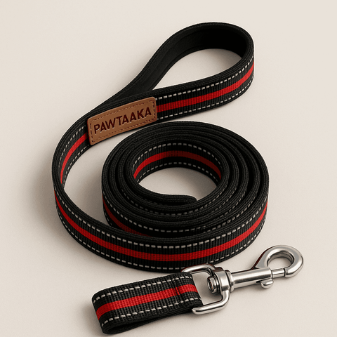 PawTaaka Midnight Stride Reflective Dog Leash – Black & Red Nylon Grip