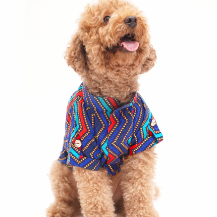 PawTaaka Colorful Ethnic Dog Kurta – Festive Fusion Wear
