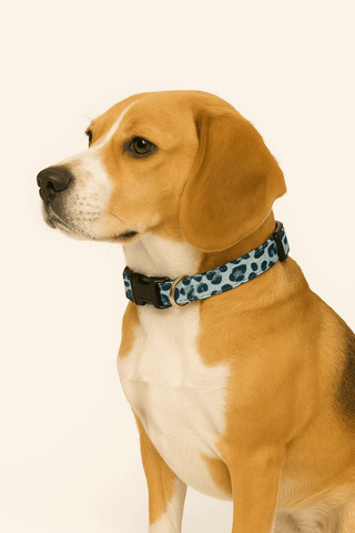 PawTaaka Blue Leopard Print Dog Collar