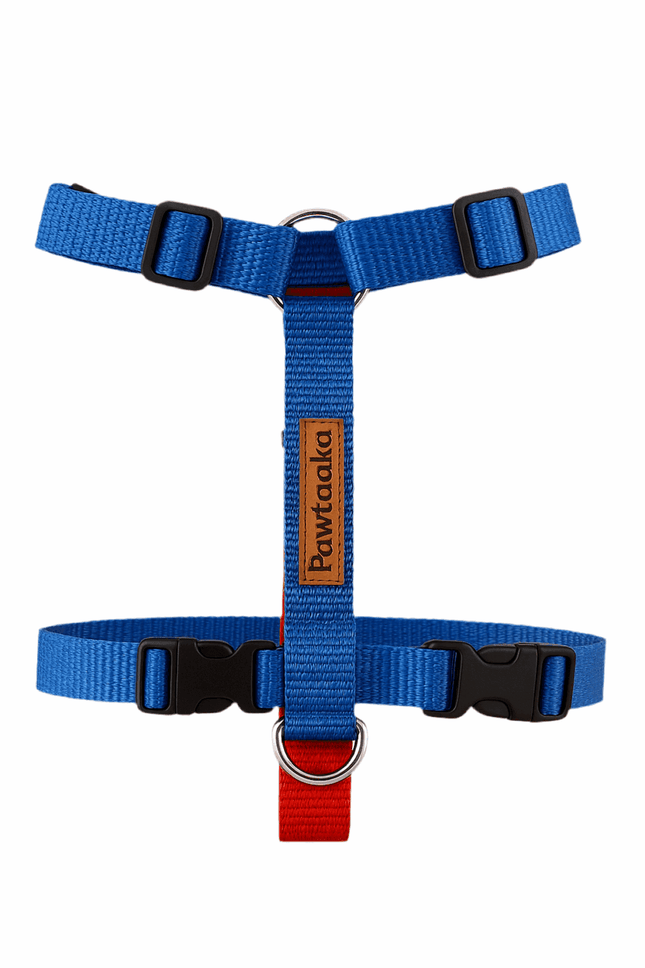 PawTaaka Blue Rush H Harness in vibrant blue and red, featuring adjustable straps and secure buckles for a stylish, lightweight dog harness.
