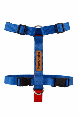 PawTaaka Blue Rush H Harness – Stylish, Adjustable & Light