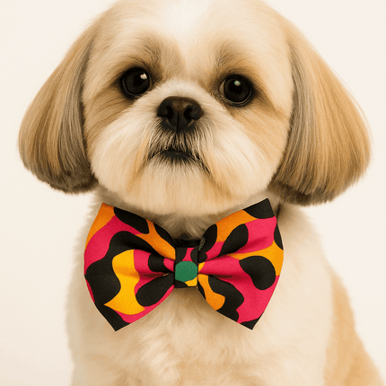 PawTaaka Pop Splash Bowtie – Funky Vibe Edition