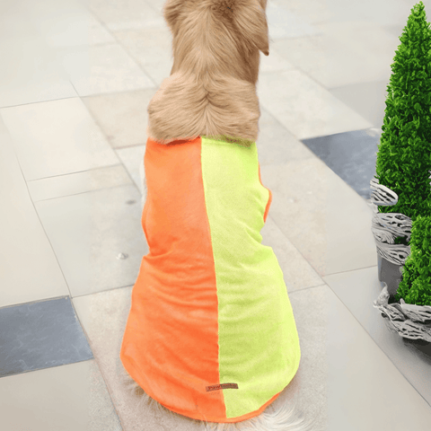 PawTaaka Neon Pulse Dog Vest – Orange & Green Mesh Drop