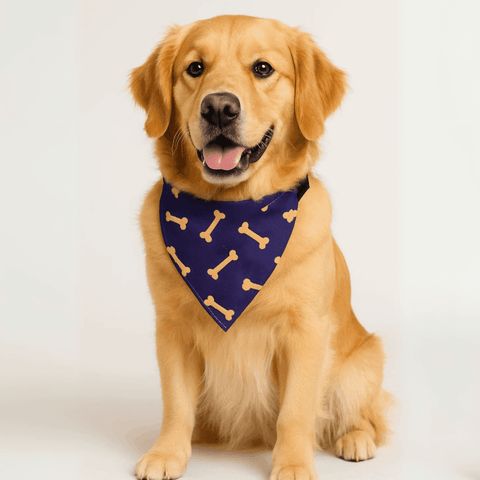 PawTaaka Bone Vibes Dog Bandana – Navy & Yellow Pop