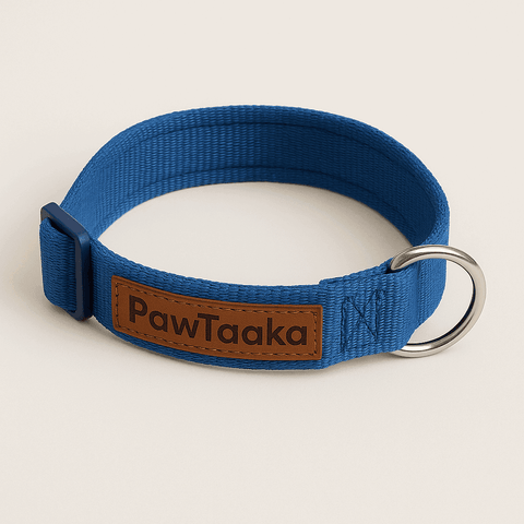 PawTaaka Basics Solid Strap Collar – Electric Blue