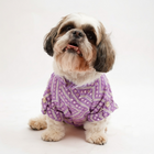 PawTaaka Royal Festive Dog Kurta – 4 Designs (Lavender, Blue, Red, Yellow)