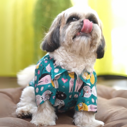 PawTaaka Kitty Doodles Dog Shirt – Teal Meow Edition