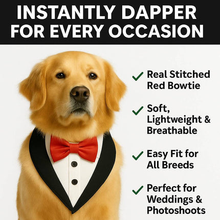 Golden retriever wearing PawTaaka tuxedo dog bandana with red bowtie. Features include breathable fabric and perfect fit for all breeds.