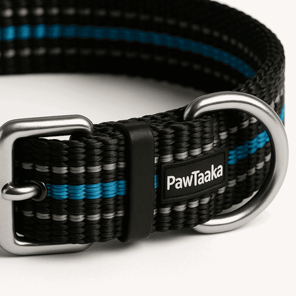 Close-up of PawTaaka Skyline Dash dog collar showing reflective stitching, durable nylon, and secure metal hardware for night safety.