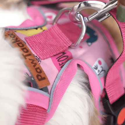PawTaaka Reflective Dog Vest Harness – Adjustable & Padded