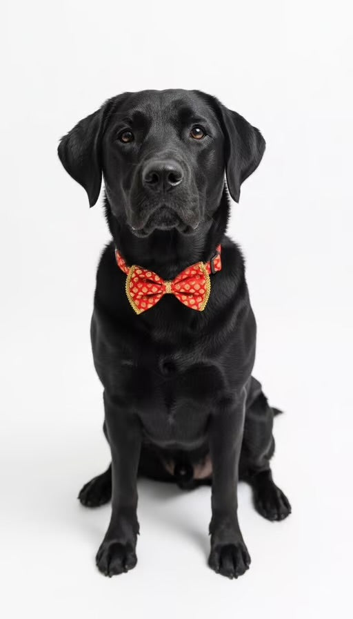 PawTaaka Red Festive Bow Collar for Dogs & Cats | Adjustable Ethnic Pet Accessory