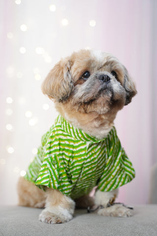 PawTaaka Leheriya Dog Kurta – Festive Green Stripes Edition