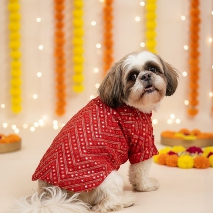 Royal Red Kurta for Dogs – Festive & Wedding Ethnic Wear