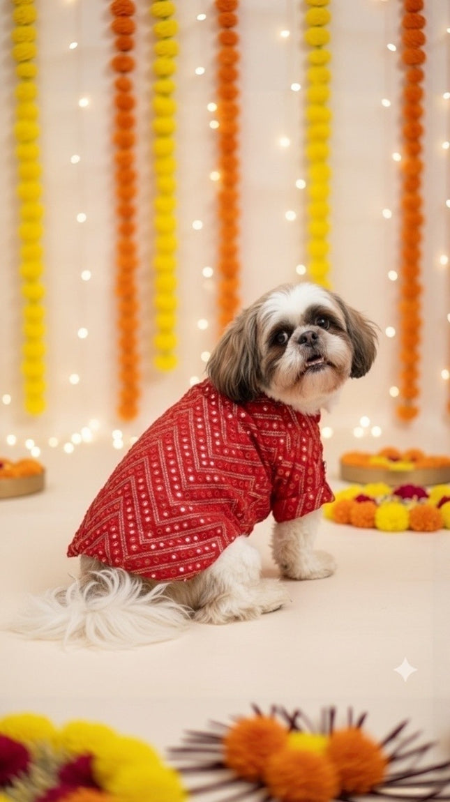 Royal Red Kurta for Dogs – Festive & Wedding Ethnic Wear