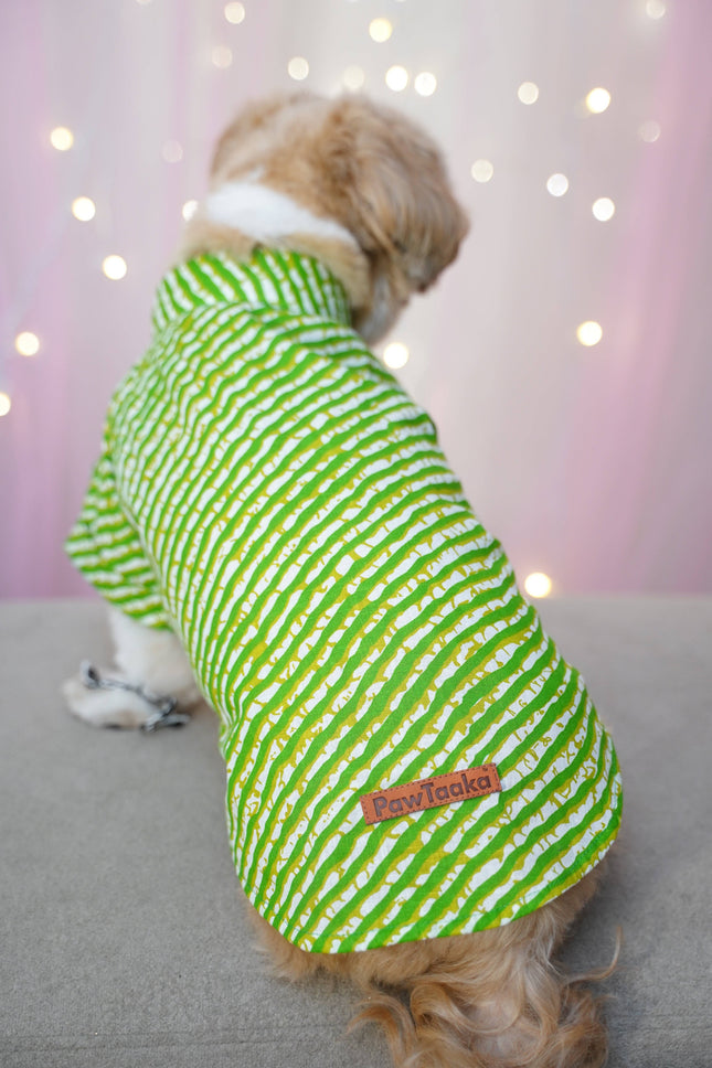 Kurta + Rakhi Combo for Dogs – Celebrate Rakhi in Style with this green striped festive kurta for pets, part of the Pawsh Rakhi Combo.