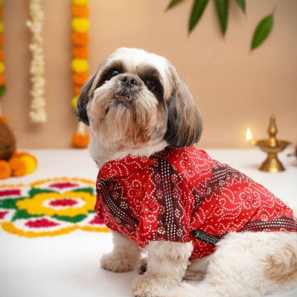 PawTaaka Royal Red Bandhani Dog Kurta – Festive Ethnic Collection