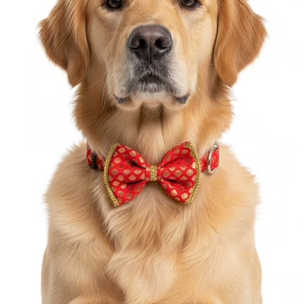 PawTaaka Red Festive Glam Box | Bow Collar, Bandana & Leash Set for Dogs & Cats
