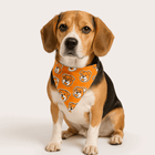 Beagle wearing PawTaaka Orange Pup Face Dog Bandana with cute dog face print, perfect for stylish pet outings and photoshoots.