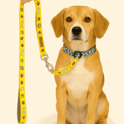 PawTaaka Yellow Snack Time Dog Leash shown on a beagle, featuring a fun snack-themed print and soft padded handle for comfortable daily walks.