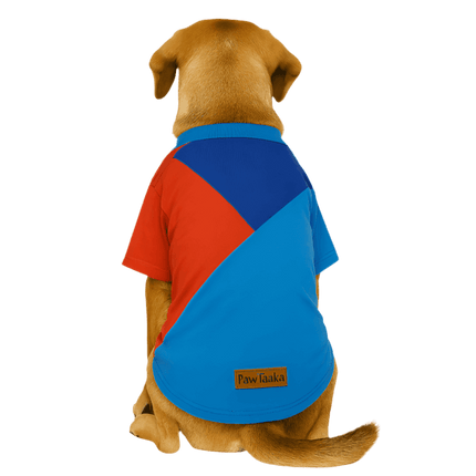 Colorblock Dog T-Shirt – Red, Blue & Light Blue by PawTaaka on a dog, featuring breathable cotton and stretch neck for comfort.