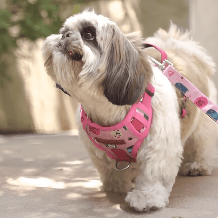 Dog on leash wearing PawTaaka Reflective Pink Dog Harness with snack squad print, designed for comfort and visibility during walks.