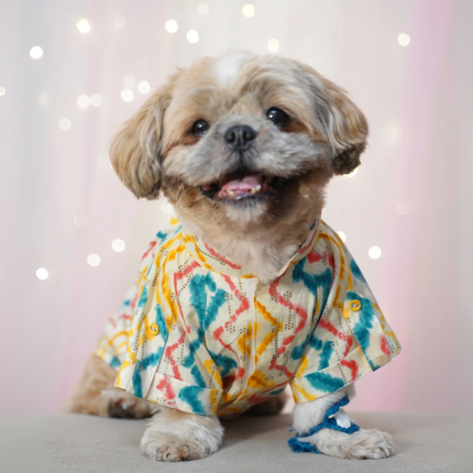 Dog Leheriya Kurta Combo Pack of 2 - Indian Festive Pet Outfit