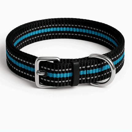 Reflective black and blue nylon dog collar with adjustable buckle and D-ring, designed for visibility and comfort during night walks.
