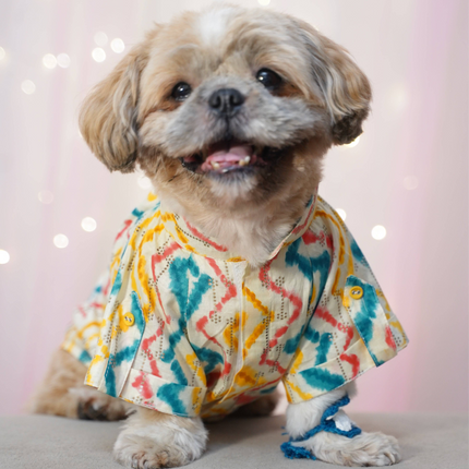 PawTaaka Leheriya Dog Kurta – Choose from 3 Festive Prints