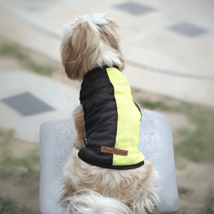 Small dog in PawTaaka Neon Pulse Dog Vest – Green & Black Mesh Edition, showcasing breathable and stylish pet apparel for warm weather.