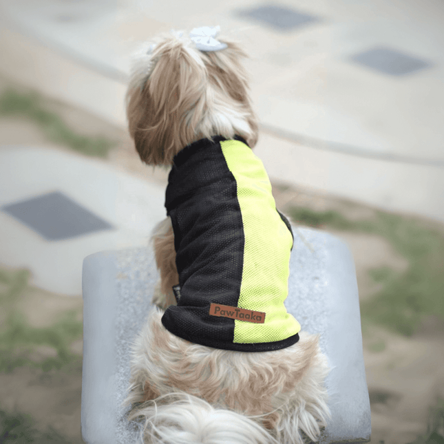 Small dog in PawTaaka Neon Pulse Dog Vest – Green & Black Mesh Edition, showcasing breathable and stylish pet apparel for warm weather.