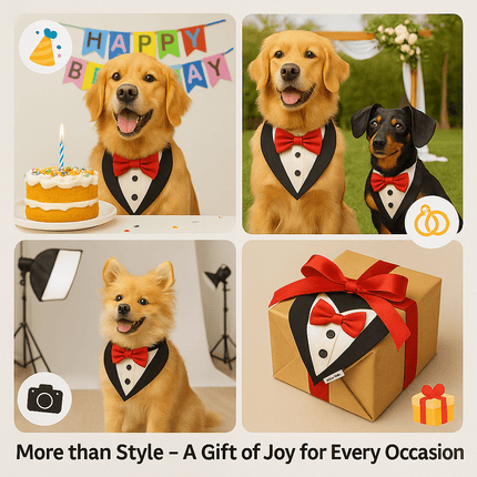Dogs wearing PawTaaka tuxedo bandanas at birthday, wedding, and photoshoot settings. Gift-ready dog outfit for all special occasions.