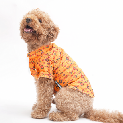 PawTaaka Mustard Yellow Dog Kurta – Traditional Motif Festive Celebration
