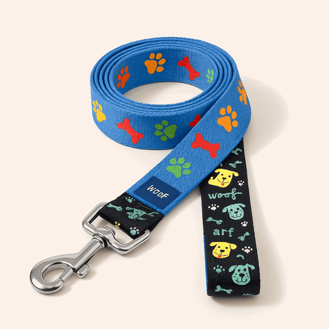 PawTaaka PlayPaws Dog Leash – Blue with Paws & Bones