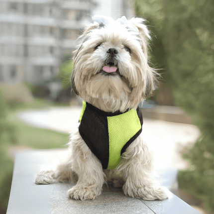 Shih Tzu wearing PawTaaka Neon Pulse Dog Vest – Green & Black, a breathable mesh t-shirt designed for comfort and summer style.