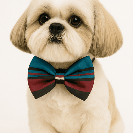 PawTaaka Retro Stripes Bowtie – Classic Cool Tones