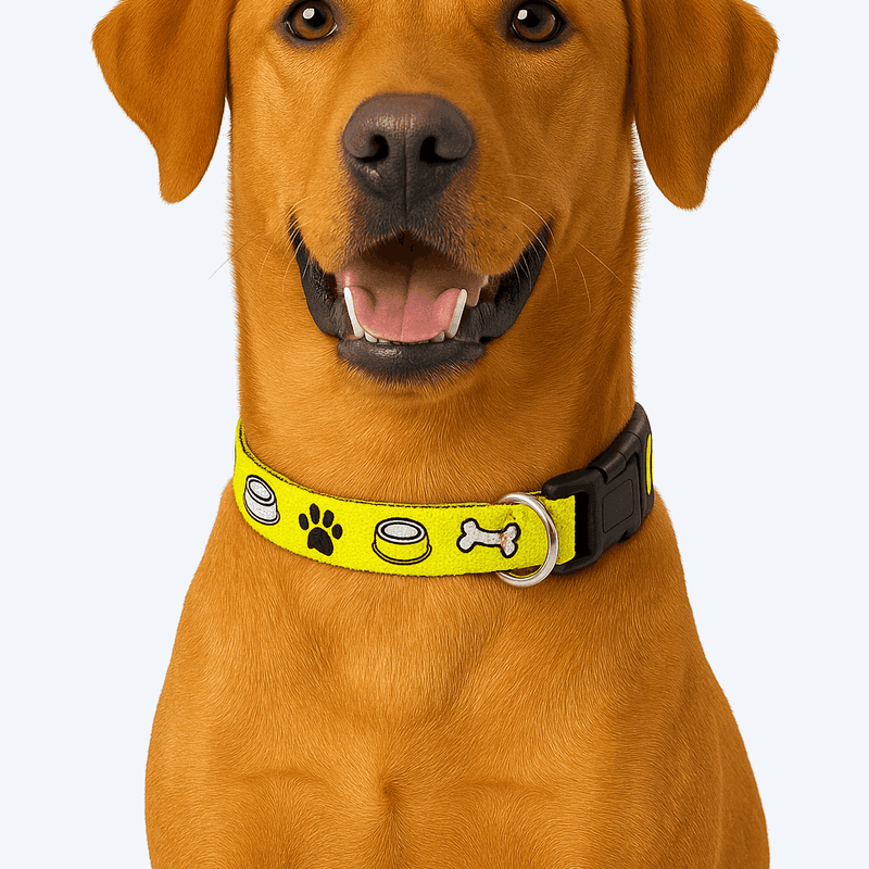 PawTaaka Emoji Munch Dog Collar in quirky yellow worn by a happy dog, perfect for stylish pups on daily walks.