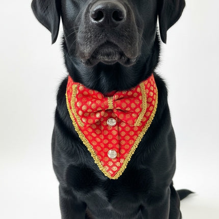 PawTaaka Red Festive Glam Box | Bow Collar, Bandana & Leash Set for Dogs & Cats