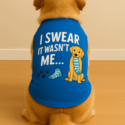Golden retriever in blue PawTaaka Not Me Dog T-Shirt with humorous sock graphic, breathable and comfy for everyday pet fashion.