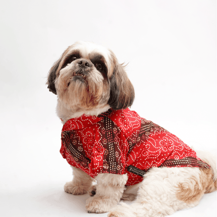 PawTaaka Royal Red Bandhani Dog Kurta – Festive Ethnic Collection