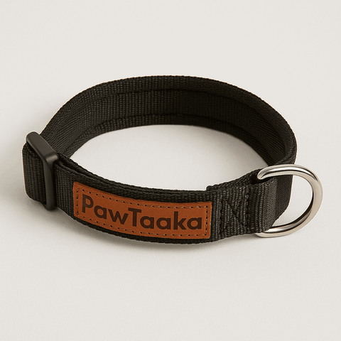 PawTaaka Basics Solid Strap Collar – Midnight Black