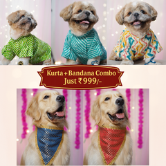 Collection image for: 🐾 Pawfect Pet Combos