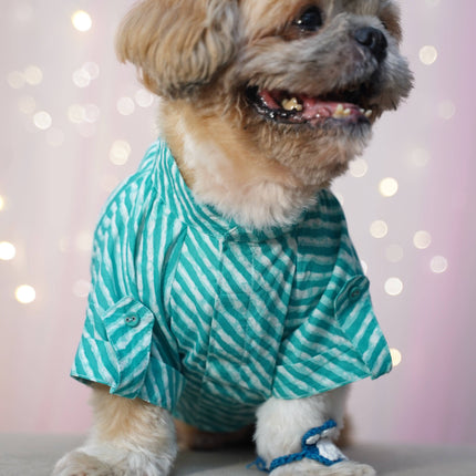 PawTaaka Blue Leheriya Dog Kurta – Festive Vibes