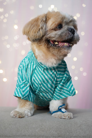 PawTaaka Blue Leheriya Dog Kurta – Rakhi Edition for Festive Vibes