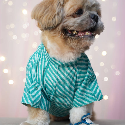 PawTaaka Blue Leheriya Dog Kurta – Festive Vibes
