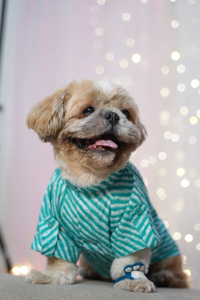 Kurta + Rakhi Combo for Dogs – Celebrate Rakhi in Style with this festive pet outfit featuring a green striped kurta and paw-themed rakhi.