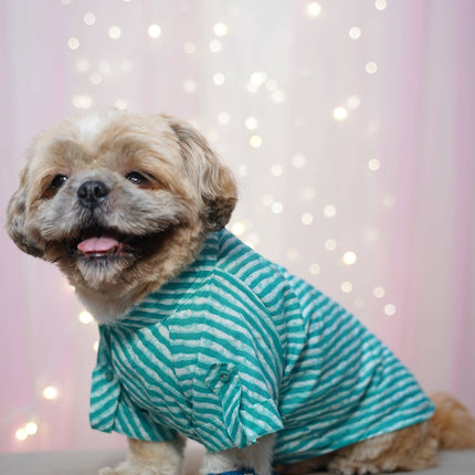 PawTaaka Blue Leheriya Dog Kurta – Festive Vibes