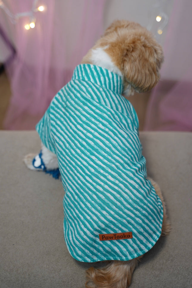 PawTaaka Blue Leheriya Dog Kurta – Festive Vibes