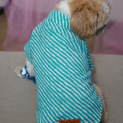 PawTaaka Blue Leheriya Dog Kurta – Festive Vibes